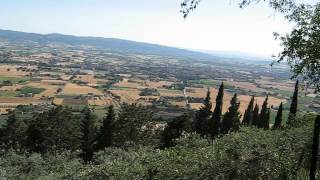 MVI_4010.avi