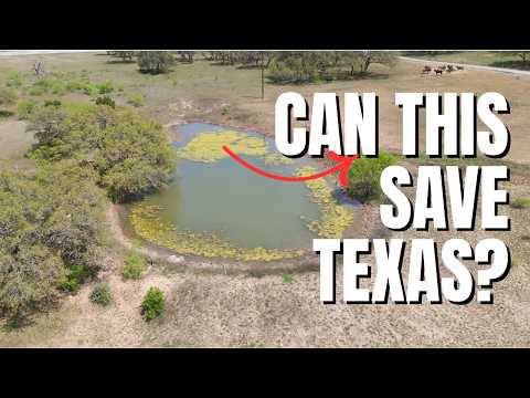 Texas is Running Out of Water. This Ranch May Have the Solution.