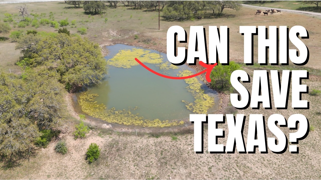 В Техасе заканчивается вода. Это ранчо может стать решением.