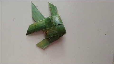 Fish coconut leaf - thắt con cá bằng lá dừa ❤ Ruby NT Chanel ❤