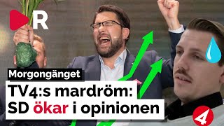 Morgongänget: TV4:s mardröm: SD ökar i opinionen