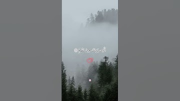 وتوكل على العزيز الرحيم #سورة_الشعراء #محمد_صديق_المنشاوي #تلاوات #راحة_نفسية #قران #quran #تلاوات