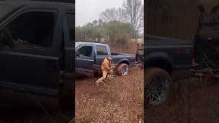All that truck #shortstoday #reels #f250 #trending #shorts #shortsfeed #craftsman #truck