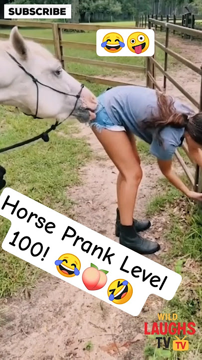 Ghoday Ne Bola YehMauqa Chhorna MushkilHai#funnyanimals #horse #viralvideo #trendingshorts #wildlife