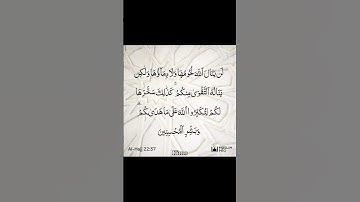 القارئ / عبدالرحمن الزواوي