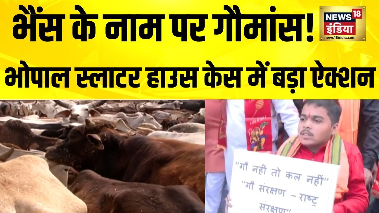 Bhopal के Slaughter House को लेकर विवाद, गौमांस मुंबई भेजे जाने का आरोप | Cow Meat | Bhopal Protest
