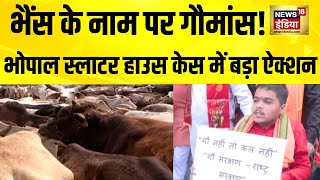 Bhopal के Slaughter House को लेकर विवाद, गौमांस मुंबई भेजे जाने का आरोप | Cow Meat | Bhopal Protest