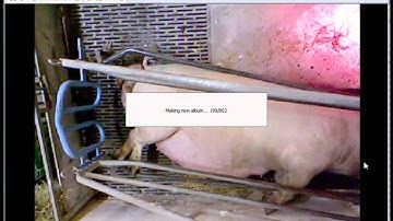 Image View Plus More 2 - Tutorial: Inspect Kinect data and crop the video using Auto Crop by Example