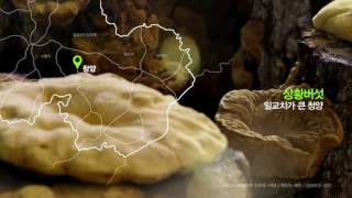 Download lagu Lee Min Ho for KGC “Good Base” Premium Ginseng - Commercial Film - 28.04.2017 (Version 3)