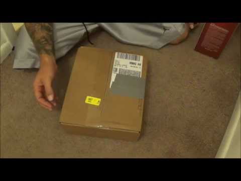 Unboxing Bumblebee Ball Python (from Cold Blooded Novelties)