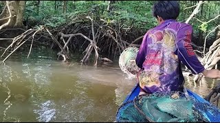 Crab Traps in Kalimantan's Mangrove Forests 2022