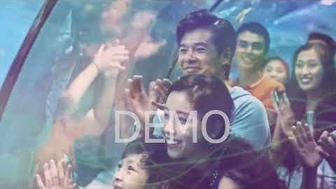 VINGGROUP DEMO QEZhiopOPBc