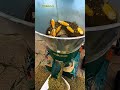 Making the Ultimate Animal Feed Mix! 🌽 #organicfarming #AnimalFeed #farming #shorts