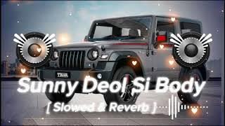 Sunny Deol Si Body Re ( Slowed & Reverb ) Raju Punjabi | Choudhar Jaat Ki Latest Haryanvi Song