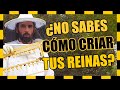 ❌ NO hagas un TRASLARVE para criar tus ABEJAS REINA sin ver este vídeo 🐝👸  Abejas del Pino