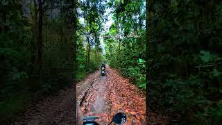 মধুপুর জাতীয় উদ্যান |  Modhupur National Forest | Tangail Dhaka