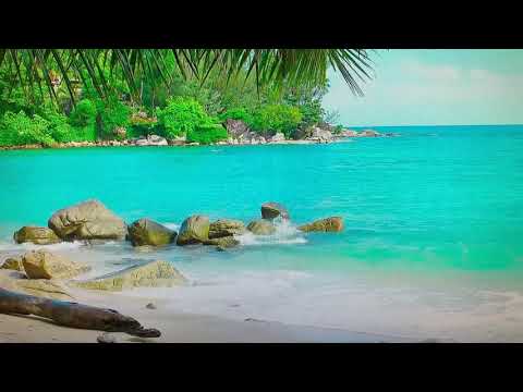 Beach Relaxation - YouTube