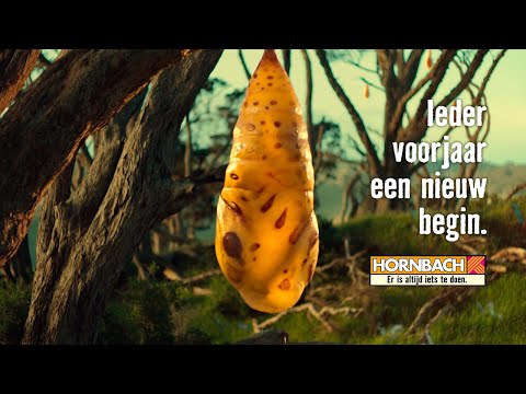 Ieder voorjaar een nieuw begin. | HORNBACH Nederland