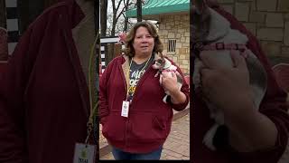 Top Tips for Pet Sitters and Dog Walkers  Renee Gunn of Overnight Pet Care DFW