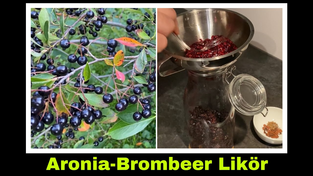 Mirabellenlikör Rezepte Aronialikör mit Brombeeren | Aronia Rezept für Likör | Selbstversorgung
