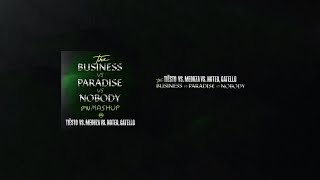 Tiësto vs. Meduza vs. NOTD, Catello - The Business vs. Paradise vs. Nobody (IPN Mashup)