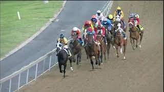 Vidéo de la course PMU PRIX SHORT HEAD MR 65 HANDICAP