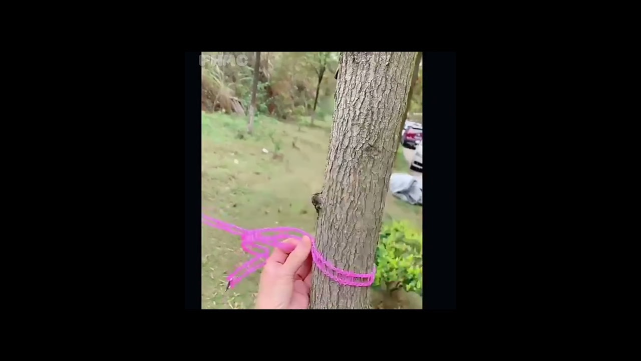 Windproof Non-Slip Clothesline - Laundry Rope (5 Meters)  