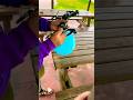 This Escalated QUICKLY рџ Explore Shorts This Escalated QUICKLY рџ Explore Shorts