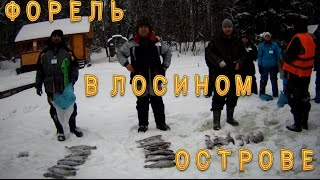 Форель в Лосином острове