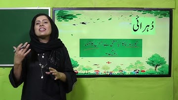 Urdu Grade 5 Unit 11 Lecture 3 || SNC 2020 ||