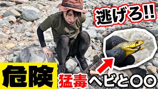 【サバイバル生活#最終回】猛毒ヘビ再び!危険生物に次々襲われ逃げる女…衝撃のラスト【7日目】