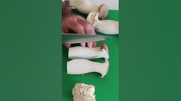 King Oyster Mushroom