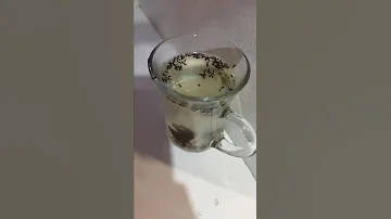 как избавиться от муравьев .