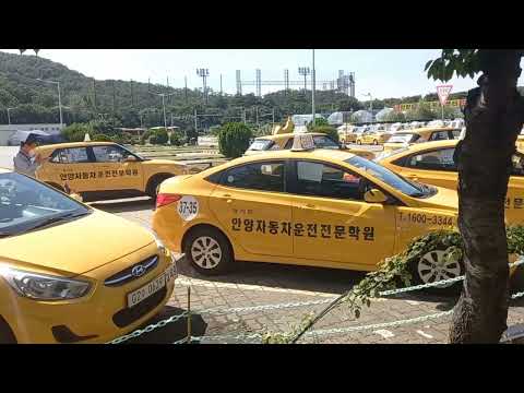 day27- First Driving Lesson and an Accident