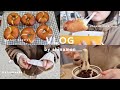 【vlog】初詣に行って自炊もするお正月の記録🎍✨プレッツェルベーグル作り🥨鶏肉とかぶのクリームシチュー、あんかけ焼きそば、オープンサンド、とんぺい焼き|自炊記録|30代