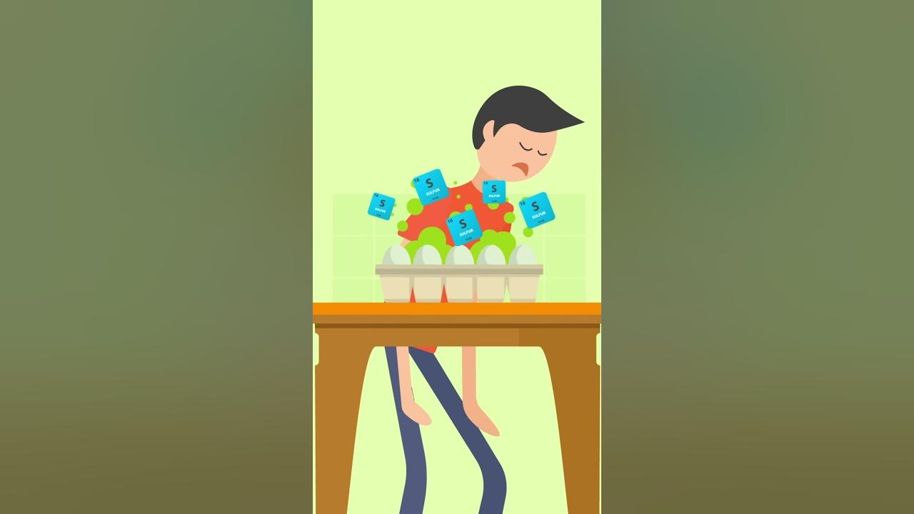 Why Do Farts Smell Like Rotten Eggs YouTube