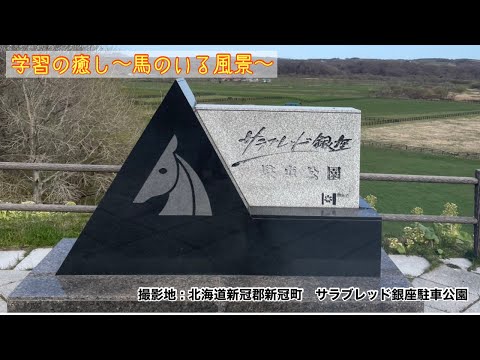 【北海道日高】学習の箸休め〜馬のいる風景【新冠】