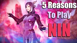 5 Reasons Why You Should Play Ninja/NIN (Rogue)