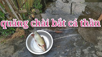 Quăng chài bắt cá/ công ước