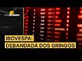 Ibovespa estrangeiros sacam mais de r 32 bi em 2024