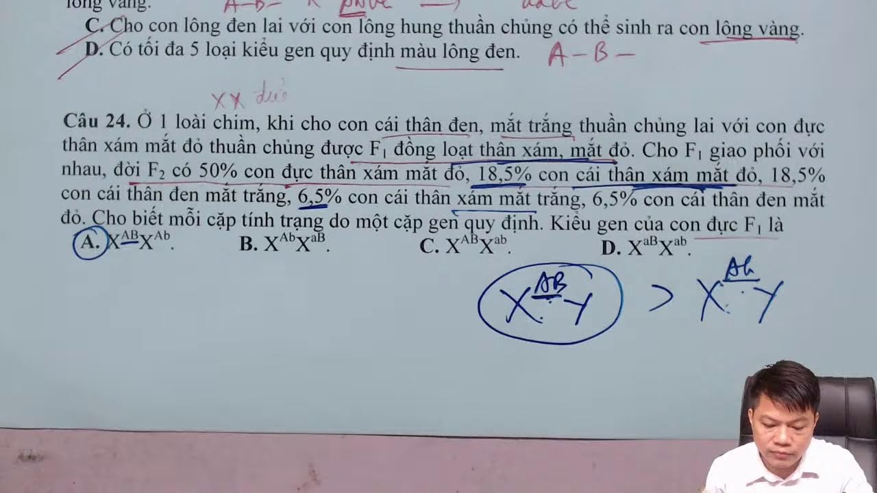 Bài 15- Khóa proS 2022 (Giao tử)
