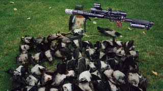 PARD DS35LRF,EDgun Leshiy 2.0,Crow Hunting,Кроухантинг ,Леший 2