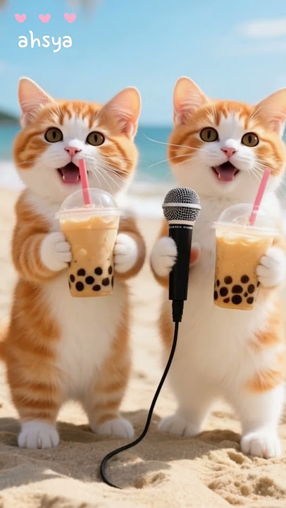 dua kucing comel minum es boba coklat 🧋 kucing joget terbaru #cat #imut #kucingnyanyi #viralvideo