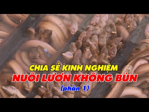 #1 Chia sẻ kinh nghiệm nuôi lươn không bùn – (phần 1) | thủy sản Mới Nhất