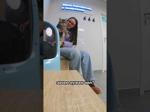 Видео: Месть ветеринара: таблетки для вашей кошки