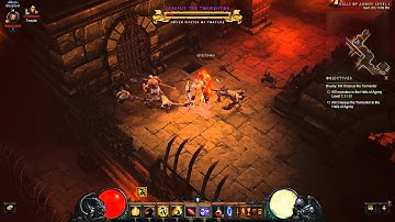 Diablo III: Reaper of Souls Beta - Monster Bug