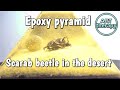 Scarab beetle in the desert. Epoxy pyramid. Resin art. DIY