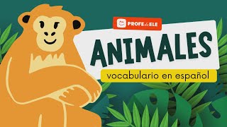 🦁 Vocabulario de los animales en español | ProfedeELE.es