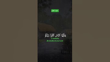 📖 قرآن كريم يريح القلب ويشرح الصدر | تلاوة خاشعة مؤثرة