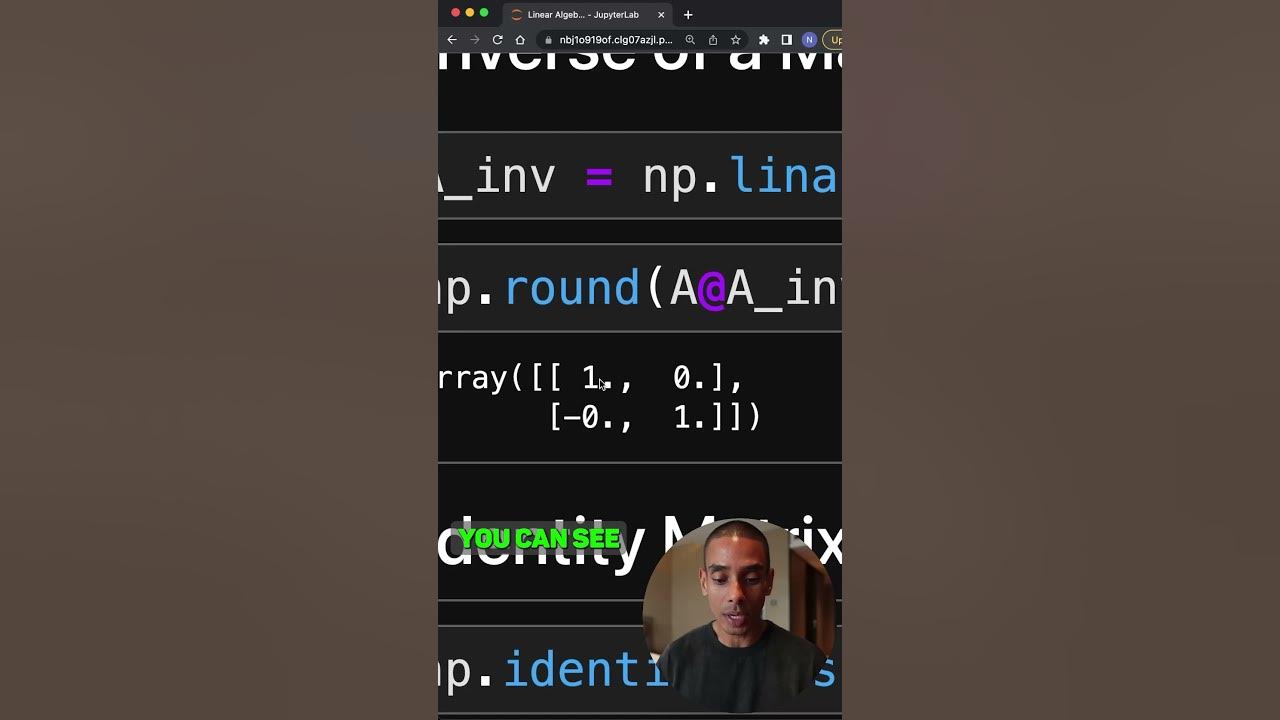 NumPy makes Linear Algebra for ML wayyyy easier! - YouTube